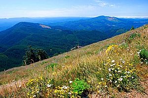 Marys Peak View (Benton County, Oregon scenic images) (benDA0137)