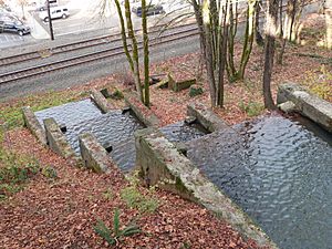 McLoughlin Promenade Singer Creek cascade from above - Oregon City Oregon