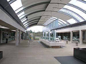 Millennium Seed Bank visitor hall - geograph.org.uk - 502417