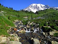 Mount Rainier from above Myrtle Falls in August.JPG