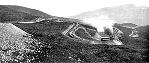 Mount Tamalpais Railway Double Bow Knot