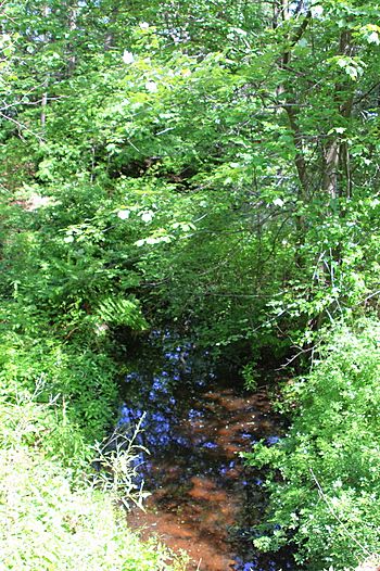 Nuangola Outlet looking downstream.JPG