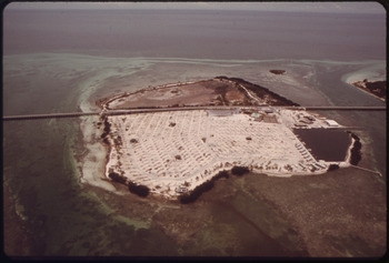 OHIO, OR "SUNSHINE" KEY ONE OF THE LOWER FLORIDA KEYS, WHERE RACHEL CARSON CAMPED WHILE GATHERING DATA FOR HER BOOK... - NARA - 548632.tif