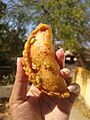 Paagi hui Gujiya or Chashni wali Gujiya - Gujarat - SHAILI 002