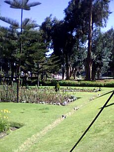 Parque Selva Alegre2