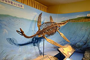 Plesiosaurus in Japan.jpg