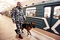Police dog in Moscow Metro