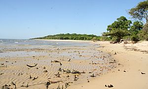 Praia de São João - Salvaterra - Ilha do Marajó - Pará