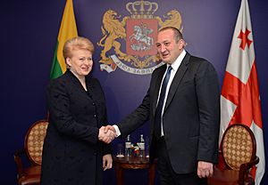 Presidents of Georgia and Lithuania meeting in November 2013