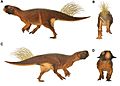 Psittacosaurus model
