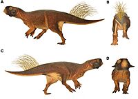 Psittacosaurus model.jpg