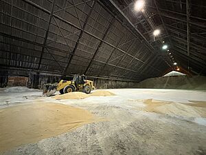 Redpath Sugar Refinery inside 2024