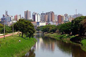 Rio Sorocaba (cropped).jpg