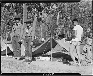Rohwer Relocation Center, McGehee, Arkansas. A 5-day Boy Scout Camp on the bank of the Mississippi . . . - NARA - 539537
