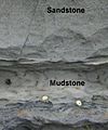 Sandstone mudstone