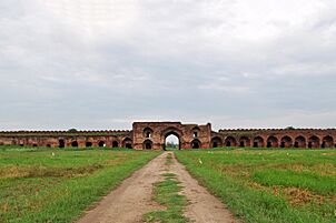 Sarai Lashkari