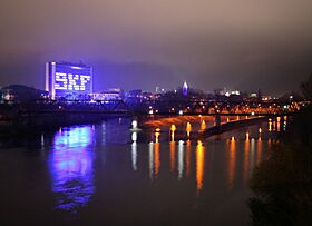 Schweinfurt und der Main bei Nacht.jpg
