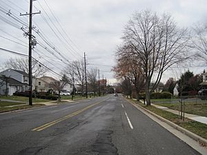 Society Hill from Morris Avenue