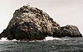 Sula Sgeir from the South West