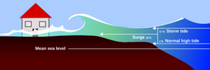 Surge-en