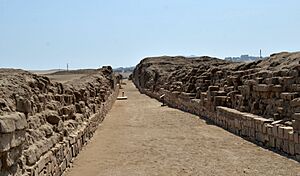 The Inka coastal road at Pachacamac DSC 0318