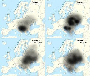 The approximate frequency and variance of haplogroup I-P37 clusters in Eastern Europe