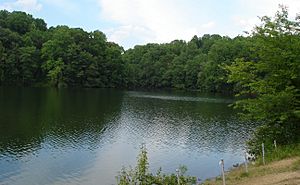 Triadelphia lake.jpg