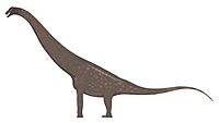 Trigonosaurus pricei profile reconstruction.jpg