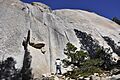 Tuolumne Meadows - Daff Dome - Guide Cracks - 2