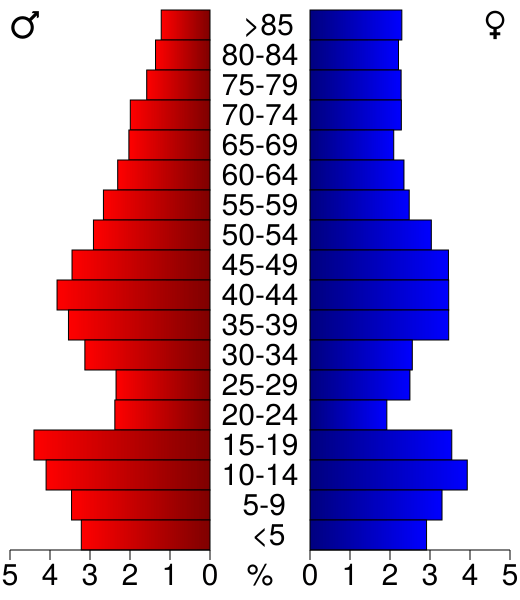 USA Redwood County, Minnesota age pyramid