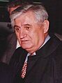 Vlajko Stojiljković crop
