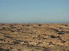 Western sahara landscape