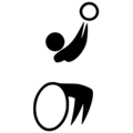 Wheelchair basketball pictogram (Paralympics)
