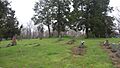 Wilson Mounds at Rising Sun