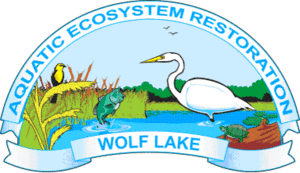 Wolf Lake Ecosystem