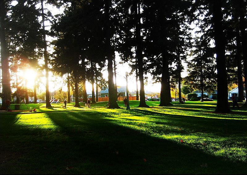 Image: Alberta Park (Portland, Oregon)