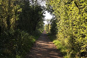 Amfreville voie verte