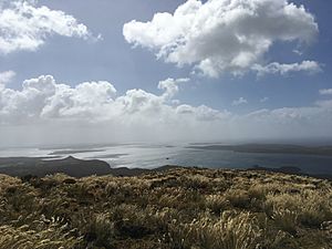 Auckland Island, looking north towards Deas Head, Rose and Enderby Islands.