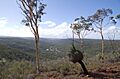 Avon vally gnangarra-35
