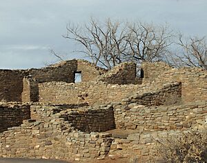 Aztec ruins buildings in 2011