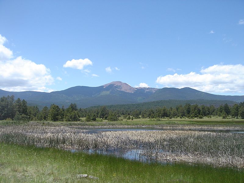 Baldy from Wilson Mesa