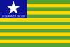 Flag of State of Piauí