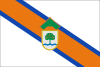 Flag of San Martín del Tesorillo