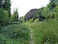 Brundall Church Fen 1