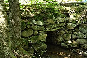 BuckfieldME ChurchillBridge 1