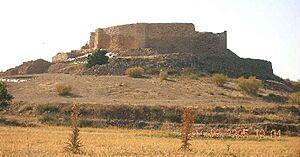 Casares Castle in Munera