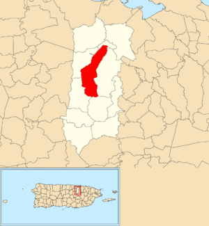 Location of Cerro Gordo within the municipality of Bayamón shown in red
