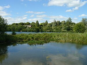 Charlton - Anton Lakes - geograph.org.uk - 890085
