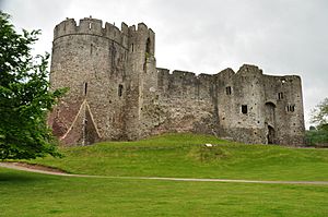 Chepstow Castle (4197).jpg