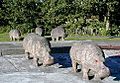 Concrete Hippos